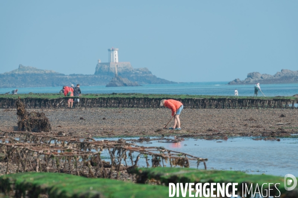 Opération de prévention auprès des pêcheurs à pieds des Côtes d Armor