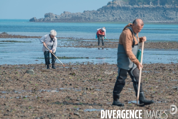 Opération de prévention auprès des pêcheurs à pieds des Côtes d Armor