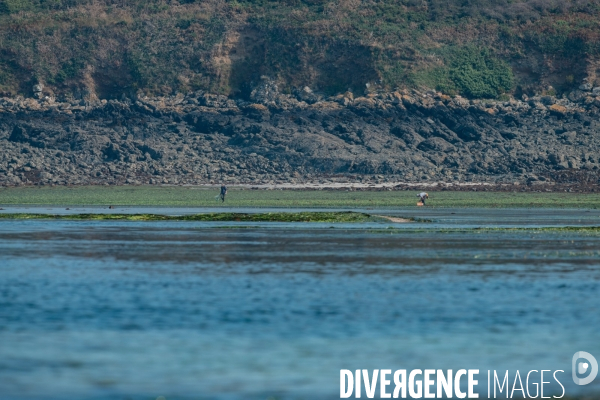 Opération de prévention auprès des pêcheurs à pieds des Côtes d Armor
