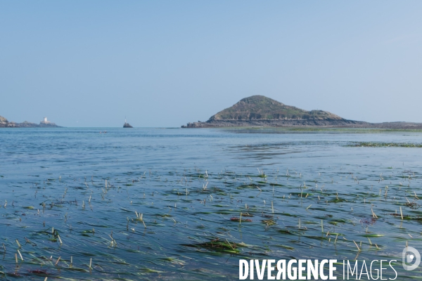 Opération de prévention auprès des pêcheurs à pieds des Côtes d Armor