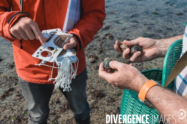 Opération de prévention auprès des pêcheurs à pieds des Côtes d Armor