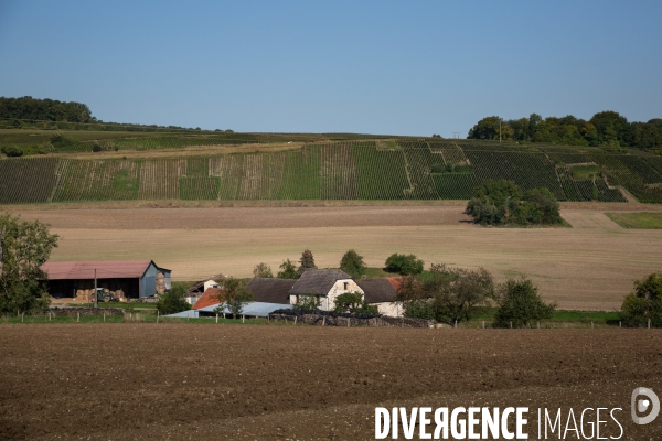 La Caravane des Vendanges de la CGT