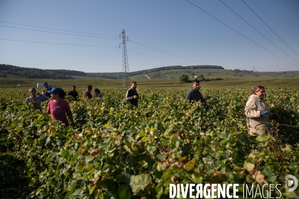 La Caravane des Vendanges de la CGT