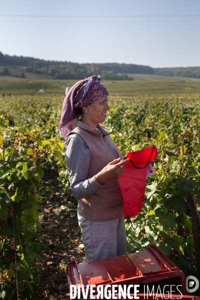 La Caravane des Vendanges de la CGT