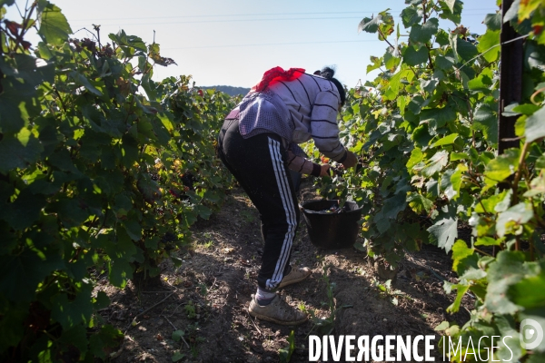 La Caravane des Vendanges de la CGT