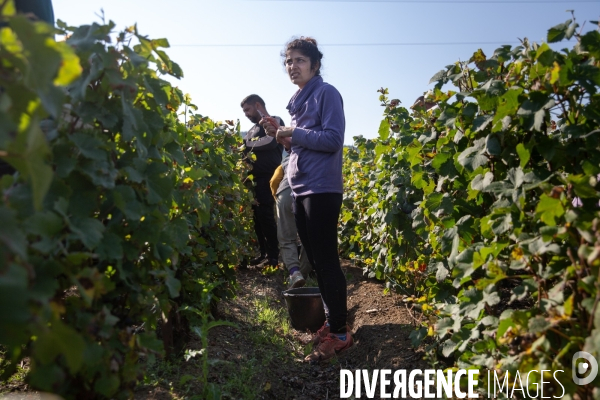 La Caravane des Vendanges de la CGT
