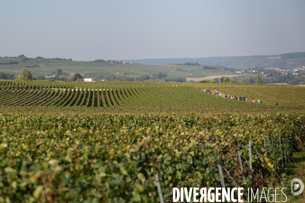 La Caravane des Vendanges de la CGT