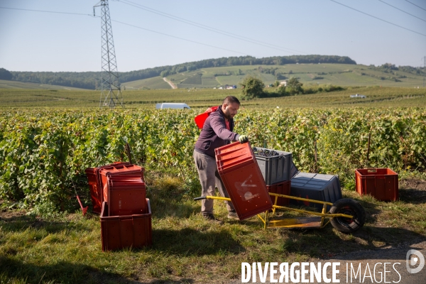 La Caravane des Vendanges de la CGT