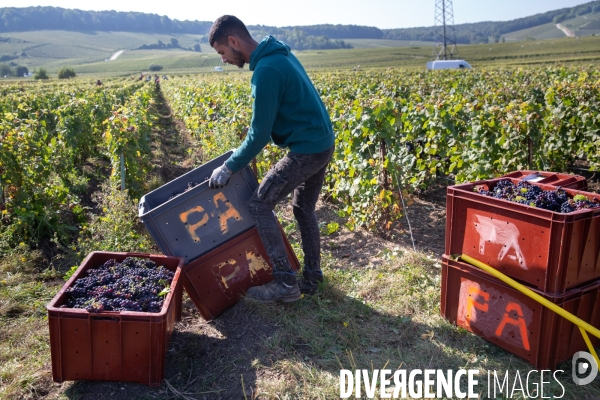 La Caravane des Vendanges de la CGT