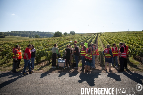 La Caravane des Vendanges de la CGT
