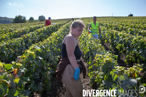 La Caravane des Vendanges de la CGT
