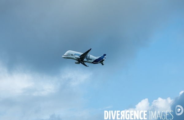 Airbus