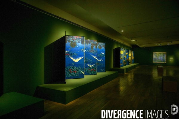 Exposition Symphonie des Nymphéas de Hiramatsu Reiji