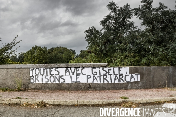 Collages hommage a Gisele - Avignon