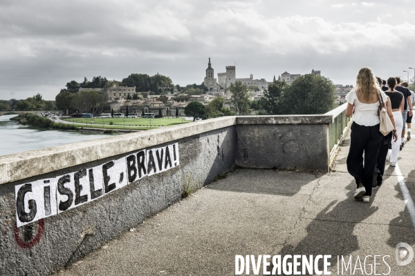 Collages hommage a Gisele - Avignon