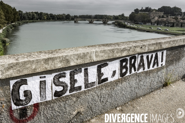 Collages hommage a Gisele  - Avignon