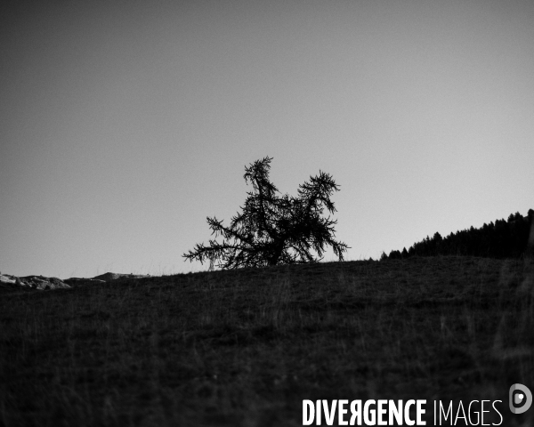 L envers de mon hiver # 16