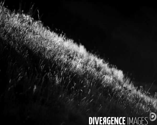 L envers de mon hiver # 16