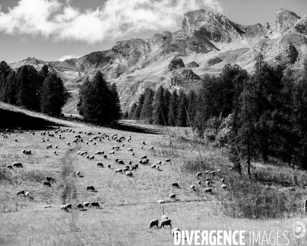 L envers de mon hiver # 16