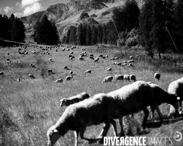 L envers de mon hiver # 16