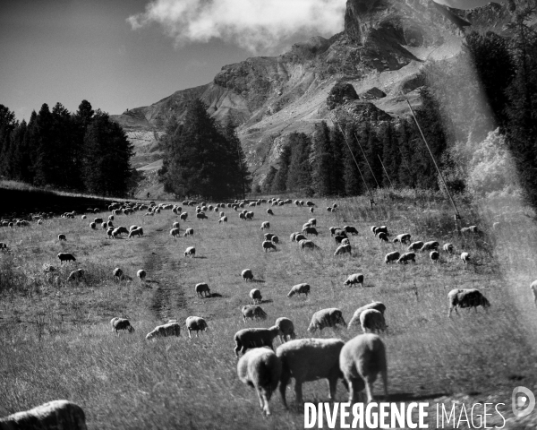 L envers de mon hiver # 16
