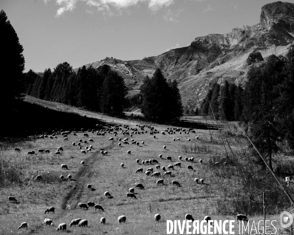 L envers de mon hiver # 16