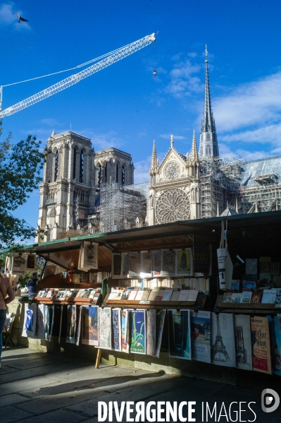 Illustration vers Notre-Dame