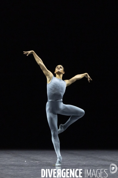 BLAKE WORKS 1 de William Forsythe