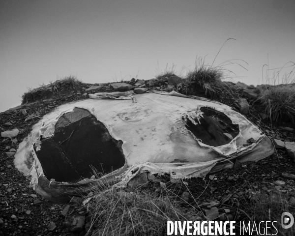 L envers de mon hiver # 17