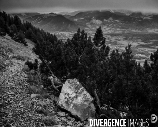 L envers de mon hiver # 17