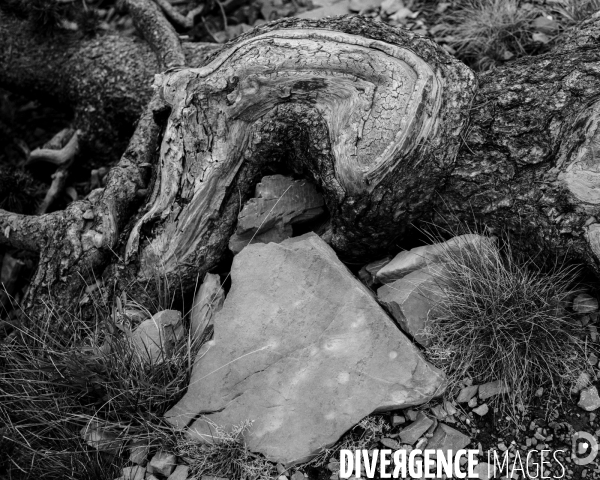L envers de mon hiver # 17