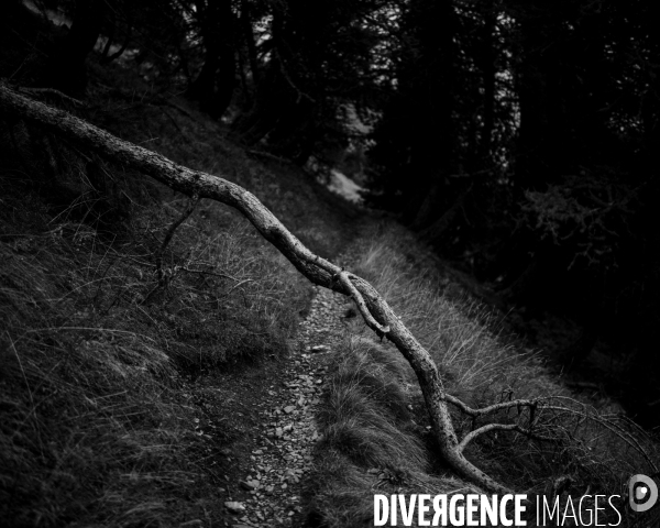 L envers de mon hiver # 17