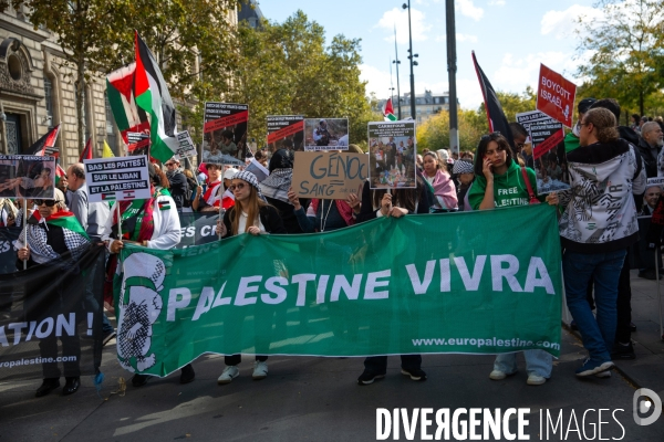 Manifestation en solidarité avec les peuples palestiniens et libanais