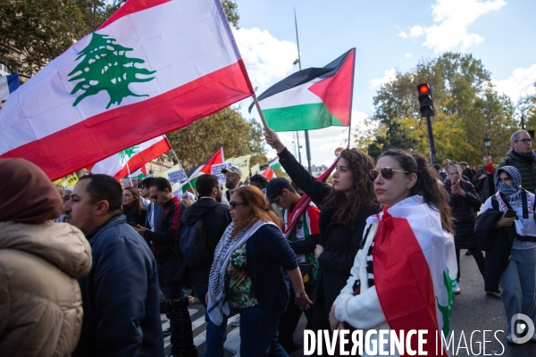 Manifestation en solidarité avec les peuples palestiniens et libanais