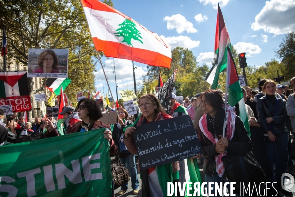Manifestation en solidarité avec les peuples palestiniens et libanais
