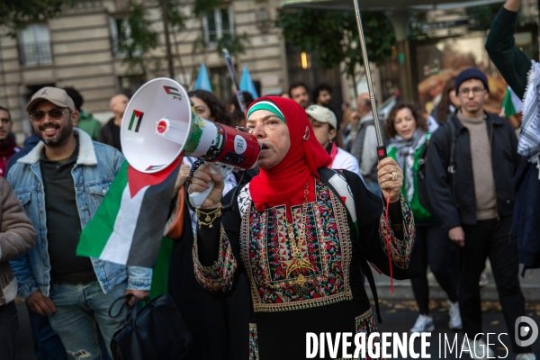 Manifestation en solidarité avec les peuples palestiniens et libanais