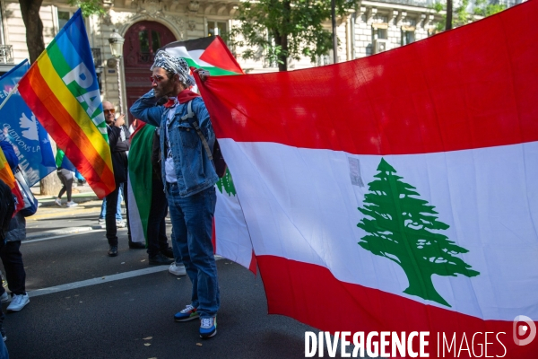 Manifestation en solidarité avec les peuples palestiniens et libanais