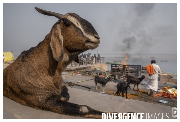 Death Hotel / 15 Days to die in Varanasi