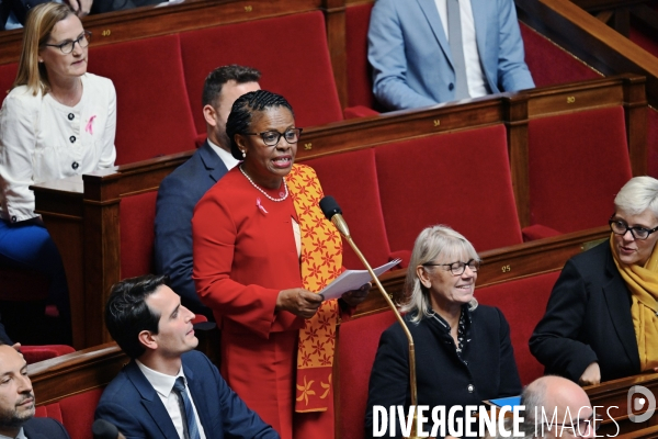 Assemblee Nationale/ Questions au Gouvernement 