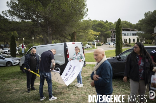 Les licenciés de Milee