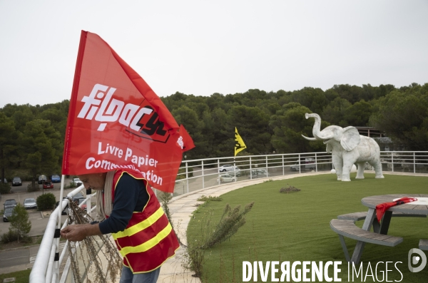 Les licenciés de Milee