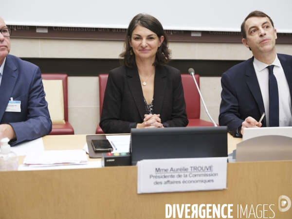 Commission des affaires economiques de l Assemblee
