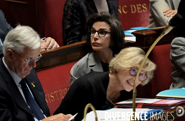 Assemblee Nationale/ Questions au Gouvernement