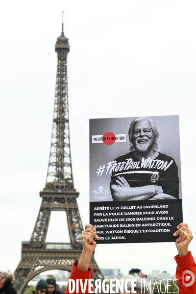 Rassemblement Sea Shepherd en soutien à Paul Watson, à Paris Trocadero.