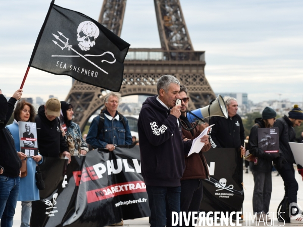 Rassemblement Sea Shepherd en soutien à Paul Watson, à Paris Trocadero.