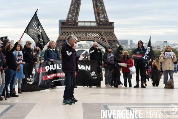 Rassemblement Sea Shepherd en soutien à Paul Watson, à Paris Trocadero.