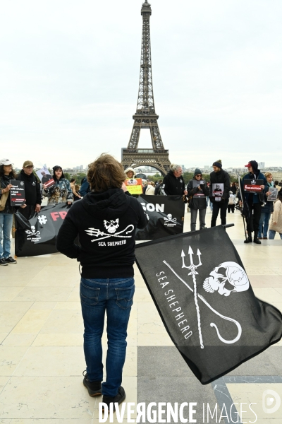 Rassemblement Sea Shepherd en soutien à Paul Watson, à Paris Trocadero.