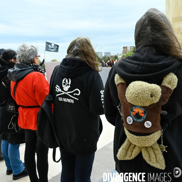 Rassemblement Sea Shepherd en soutien à Paul Watson, à Paris Trocadero.