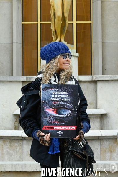 Rassemblement Sea Shepherd en soutien à Paul Watson, à Paris Trocadero.