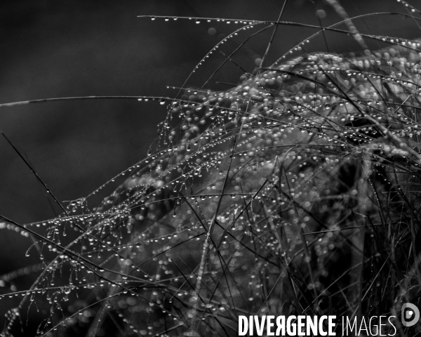 L envers de mon hiver # 18